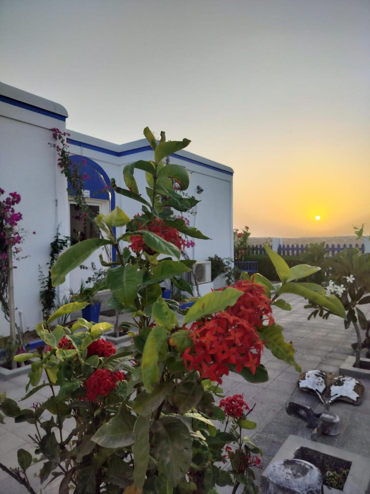 Al-Ashkhara Beach Resort منتجع شاطئ الأشخرة Эш-Шаркия Экстерьер фото