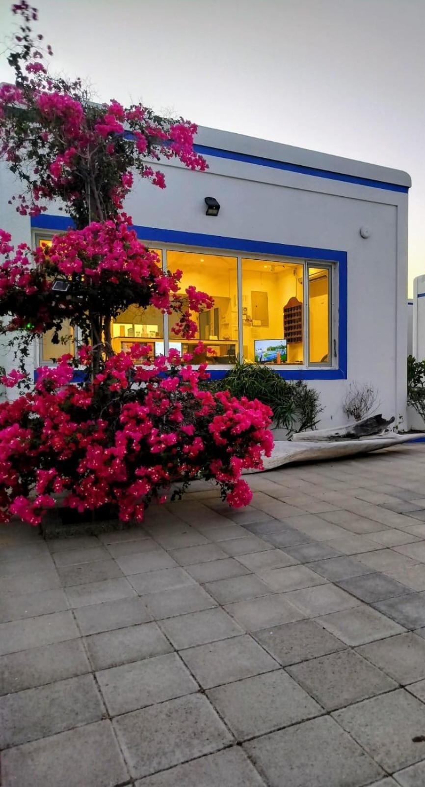 Al-Ashkhara Beach Resort منتجع شاطئ الأشخرة Эш-Шаркия Экстерьер фото